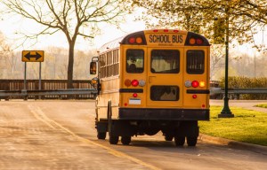 School Bus Safety in Delaware