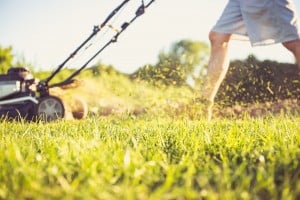 Summer is Here – Is There Danger Lurking in Your Lawn?